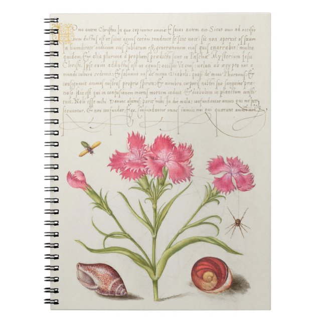 CALLIGRAPHY SPIDER SANTA FLOWER PUBLIC DOMAIN BOTA ANTECKNINGSBOK (Framsidan)