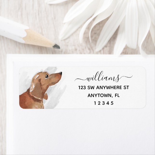 Calligraphy Tan Dachshund Returadress Etikett (Insitu)