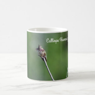 Calliope Hummingbird Kaffemugg