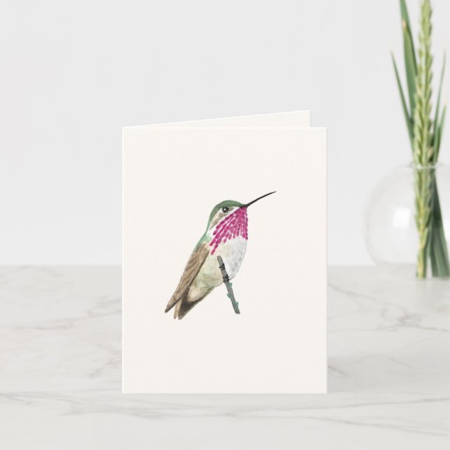 Calliope Hummingbird Kort (Framsida)