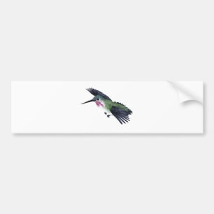 CalliopeHummingbird Bildekal
