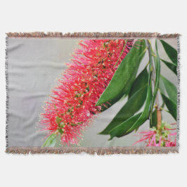 CALLISTEMON-FLASKAN BORSTAR BLOMMAN AUSTRALIEN FILT
