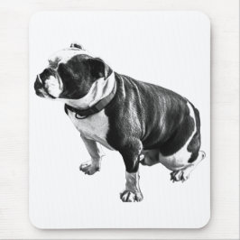 Calm Beneath the Work Musmatta