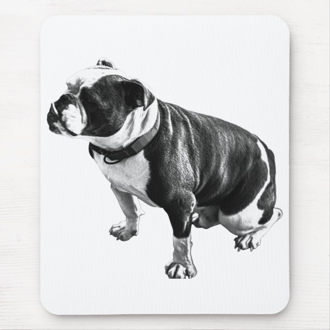 Calm Beneath the Work Musmatta (Framsidan)