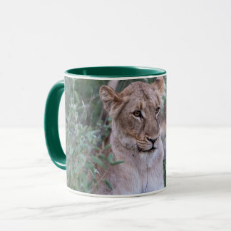 Calm Lioness – Wildlife Artwork Mugg