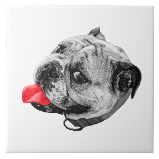 Calm Set with Warmth Kakelplatta (Framsidan)