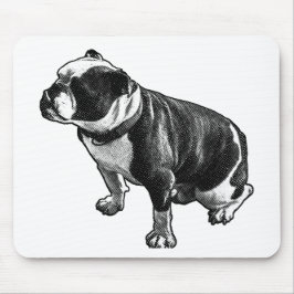 Calm Under Motion Musmatta