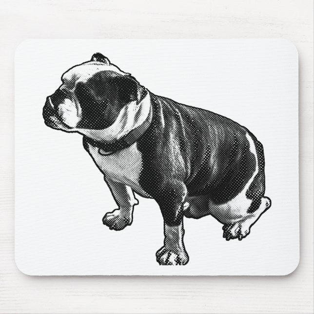 Calm Under Motion Musmatta (Framsidan)