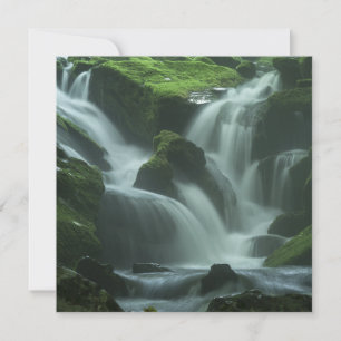 Calming Waterfall Kort