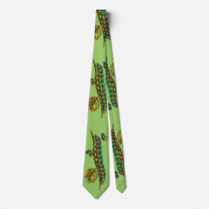 Calocampa vetusta caterpelarhals slips