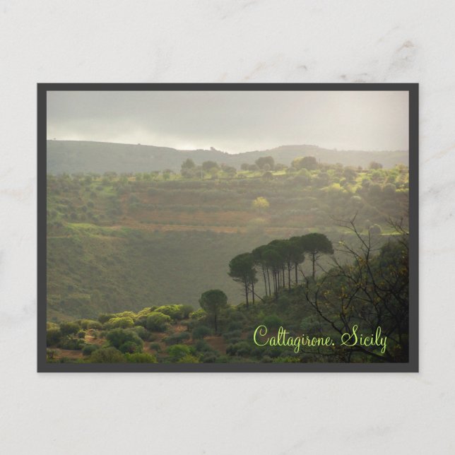 Caltagirone. Sicily Vykort (Framsida)