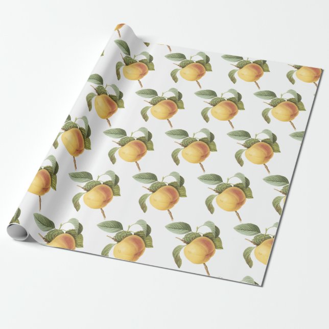 Calville äppelmönster presentpapper (Utrullad)
