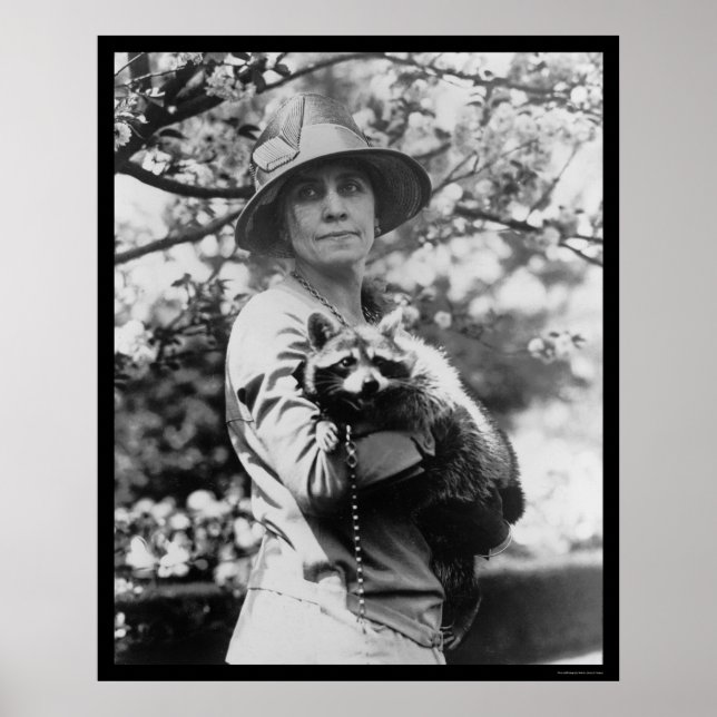 Calvin Coolidge med sin Raccoon 1923 Poster (Framsidan)