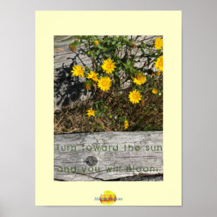 Camano Island Washington Beach med citat Poster
