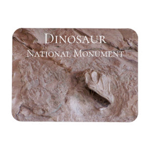 Camarasaurus Skull och Skeleton, Dinosaur, Utah Magnet