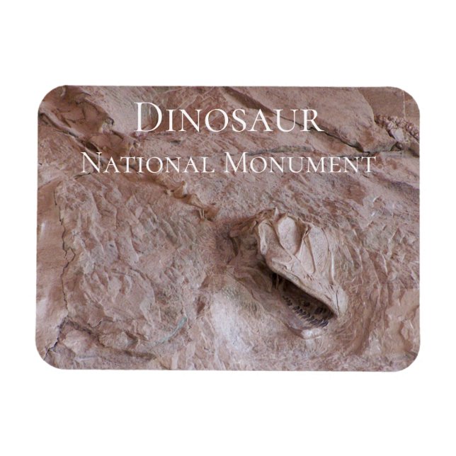 Camarasaurus Skull och Skeleton, Dinosaur, Utah Magnet (Horisontell)