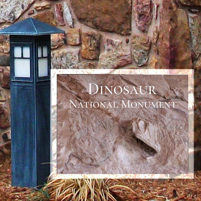 Camarasaurus Skull, Skeleton, Dinosaur Ntl. Park Vykort (Skapare uppladdad)