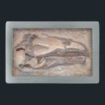 Camarasaurusskalle - Dinosaurmedborgaremonument<br><div class="desc">Camarasaurusskallefossil från Jurassic period på Dinosaurmedborgaremonumentet - Utah/Colorado</div>