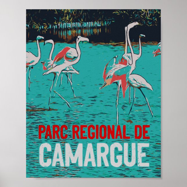 Camargue, Frankrike, rosa flamingos Poster (Framsidan)