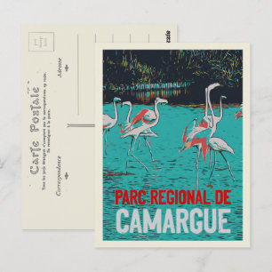 Camargue, Frankrike, rosa flamingos Vykort