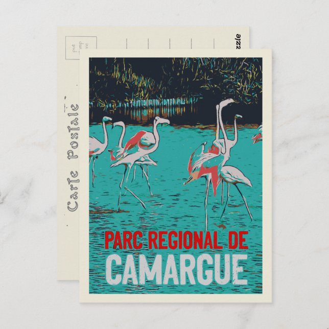 Camargue, Frankrike, rosa flamingos Vykort (Fram/baksida)