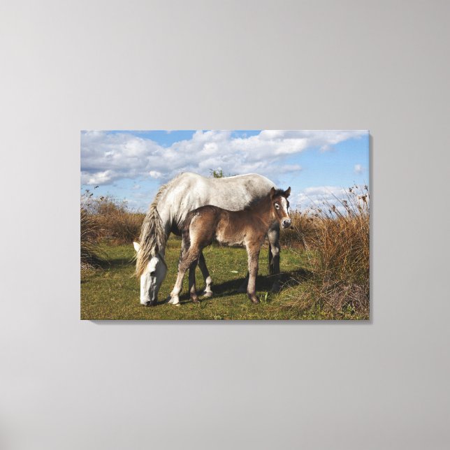 Camargue-hästföl med mamma canvastryck (Framsida)