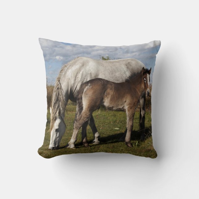 Camargue-hästföl med mamma kudde (Framsida)
