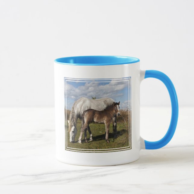 Camargue-hästföl med mamma mugg (Höger)