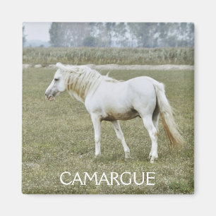 Camargue hingstmagnet magnet