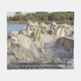 Camargue Horse Ancient rase of Frankrike Equestria Fleecefilt