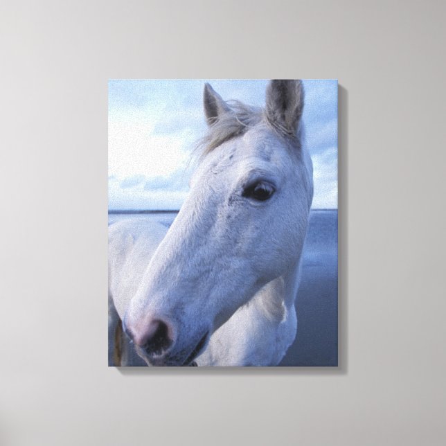 Camargue Horse Canvastryck (Framsida)