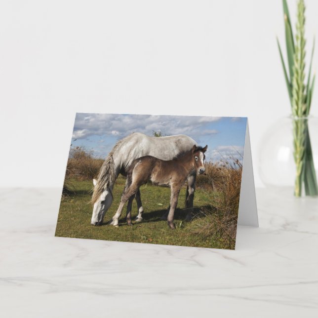 Camargue Horse Foal med Mor Kort (Framsida)