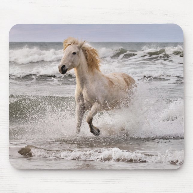 Camargue Horse Running ut ur Surfan Musmatta (Framsidan)