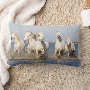 Camargue Horses Lumbarkudde