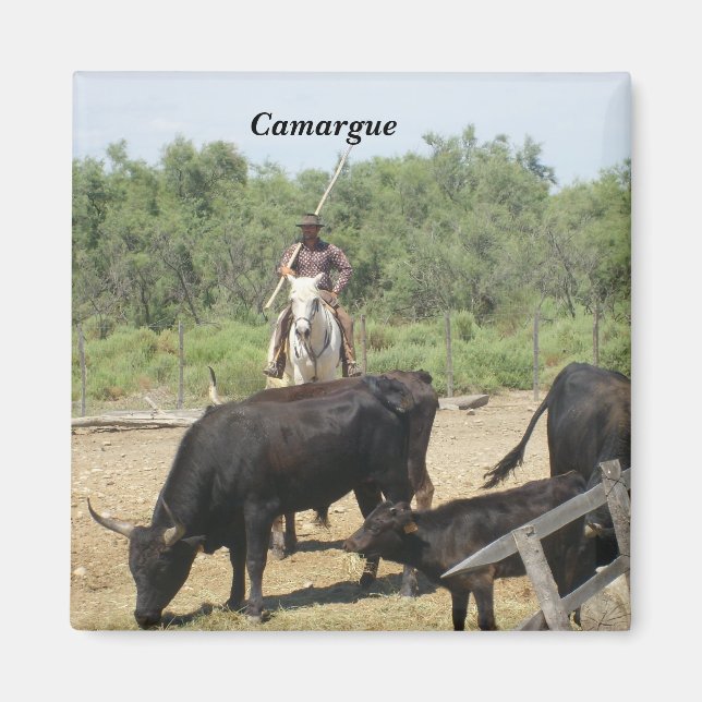 Camargue - magnet (Framsidan)