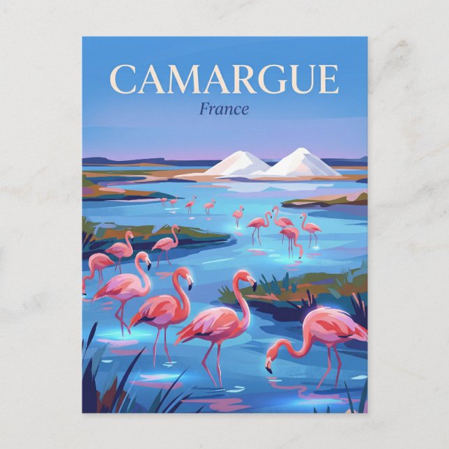 Camargue regionala naturpark Frankrike Vykort (Framsida)