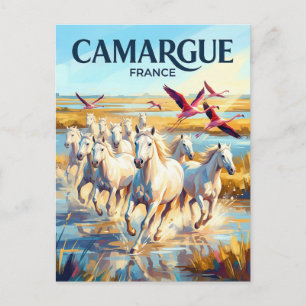 Camargue regionala naturpark Frankrike Vykort