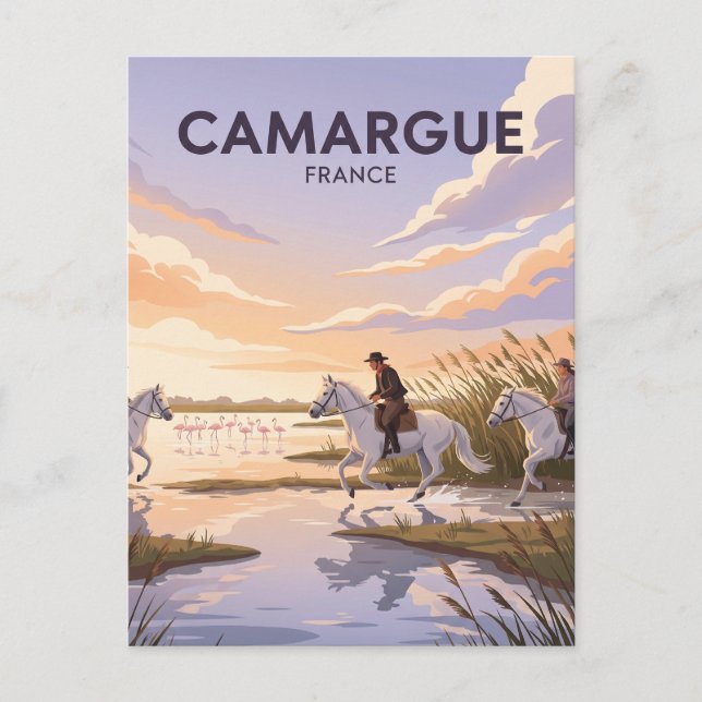 Camargue regionala naturpark Frankrike Vykort (Framsida)