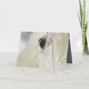 Camargue Stallions hälsningskort Öga Kort