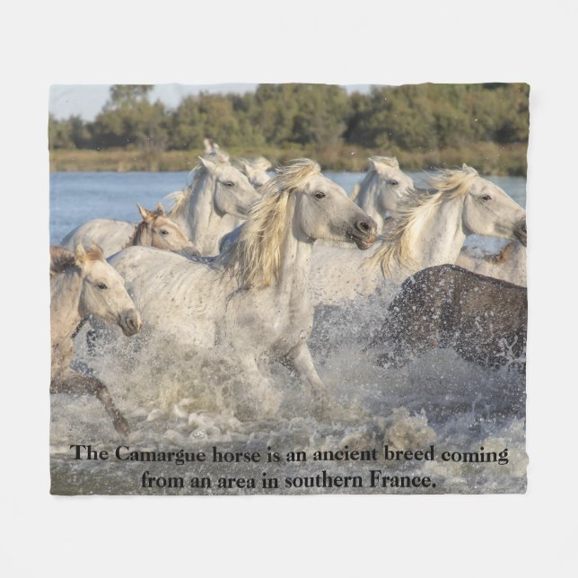Camarguehäst Gammal fransk hästras för ryttare Fleecefilt (Framsidan (Horisontell))
