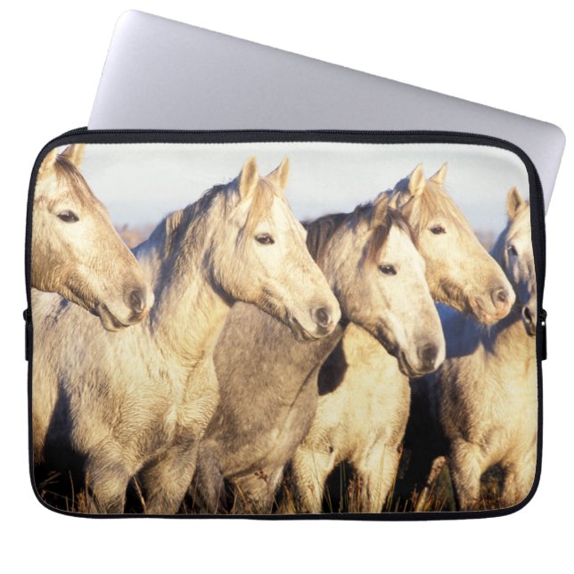 Camarguehästar (Eguus caballus) Laptop Fodral (Framsidan)