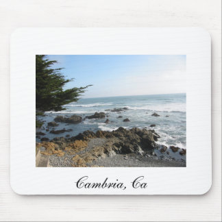 Cambria CA 2, Cambria, Ca Musmatta