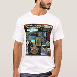 Cambria County Collage Tröja