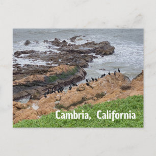 Cambria Kalifornien Vykort
