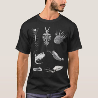 Cambrian Creatures Fossil Paleoart Evolution Scien T Shirt