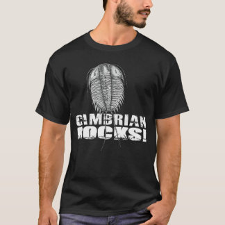 Cambrian Rocks flicka T Shirt