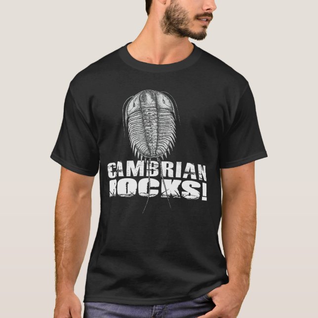 Cambrian Rocks flicka T Shirt (Framsida)