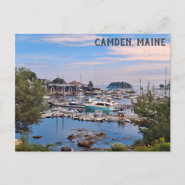 Camden Maine Harbor Vatten View Boats Vykort (Framsida)