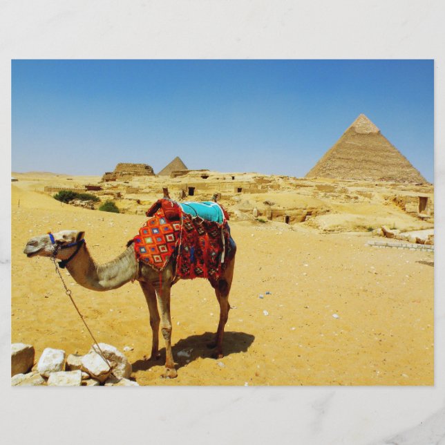 Camel (Framsida)