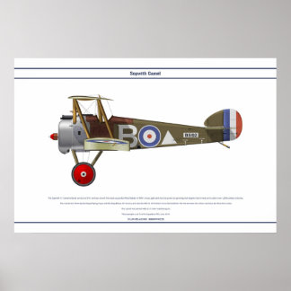 Camel 43 Sqn Poster